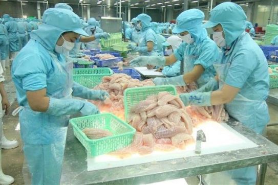 Online forum to promote Vietnam-Russia trade in agro-fisheries