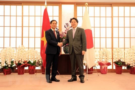 Vietnam always considers Japan leading strategic partner: FM