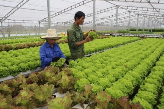Chuyển đổi số trong ngành nông nghiệp nên bắt đầu từ đâu?