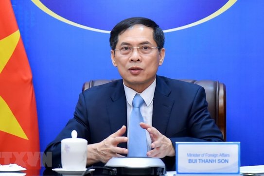 Bộ trưởng Bùi Thanh Sơn gặp Bộ trưởng Ngoại giao và Phát triển Anh