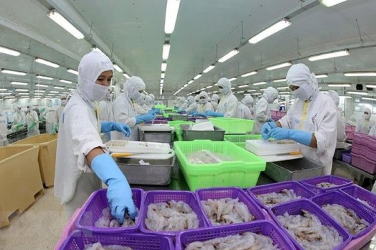 IHS Markit lạc quan về khả năng phục hồi kinh tế của Việt Nam