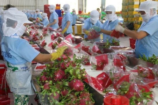 Vietnam, Cambodia to forge cooperation in agro-forestry-fishery