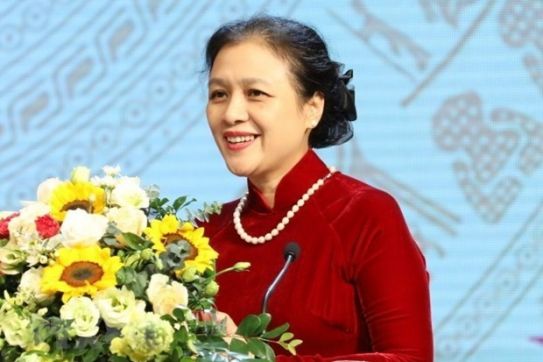 People-to-people diplomacy flexibly adapts to new situation: VUFO President