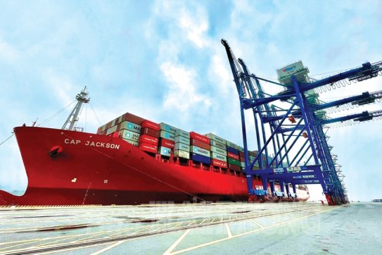 Hàng container qua cảng biển Hải Phòng tăng trưởng cao: Dấu ấn từ những tuyến dịch vụ hàng hải mới