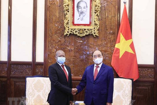 Chủ tịch nước: Vẫn còn nhiều tiềm năng hợp tác Việt Nam-Nam Phi