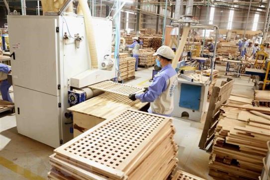 Doanh nghiệp Việt Nam tìm hiểu cơ hội phát triển sản phẩm tại Nam Phi