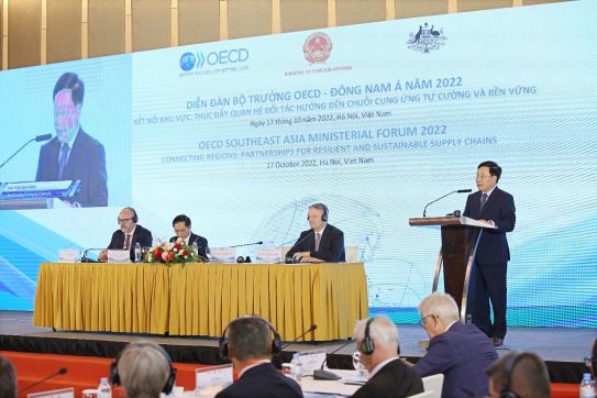 하이퐁의 OECD - 베트남 장관급 포럼 및 베트남의 대외경제 성과와 잠재적인 투자환경 전시회 참석 