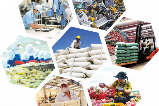 Định vị thương hiệu sản phẩm Việt trên thị trường xuất khẩu