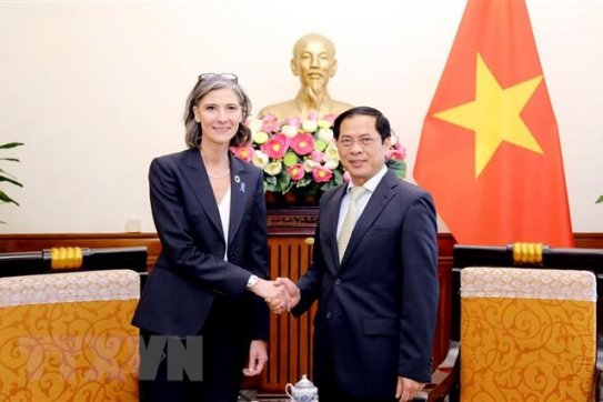Bộ trưởng Bộ Ngoại giao tiếp Đại diện thường trú UNDP tại Việt Nam