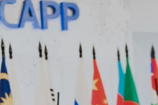 Đoàn đại biểu Đảng Cộng sản Việt Nam dự Hội nghị đặc biệt của ICAPP
