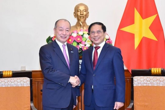 Bộ trưởng Ngoại giao Bùi Thanh Sơn tiếp Thứ trưởng Ngoại giao Nhật Bản