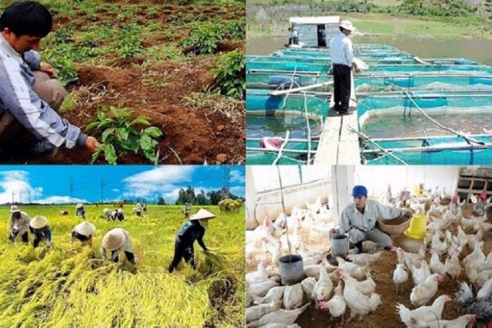 Vượt khó khăn, sản xuất nông nghiệp tiếp tục khả quan