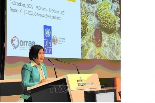 Vietnam promotes environmental, climate diplomacy to serve development