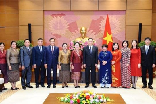 Vietnamese, Lao National Assemblies share experience in social affairs