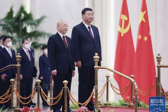 习近平同越共中央总书记阮富仲举行会谈