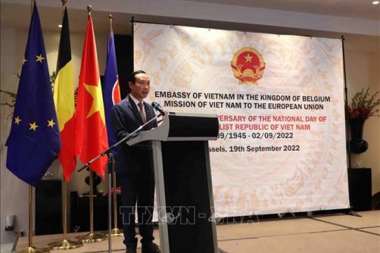 Vietnam’s relations with Belgium, EU now at their prime: ambassador