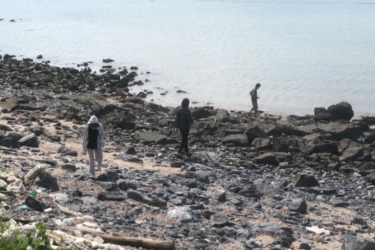 香川県代表団（日本）がカットバ島の海洋ゴミ削減プロジェクトの実施状況を調査