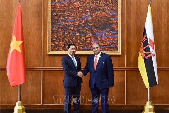 Vietnam, Brunei FMs co-chair second Joint Commission for Bilateral Cooperation meeting