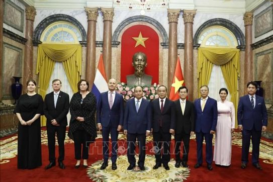 越南国家主席阮春福接受荷兰、匈牙利、澳大利亚、卢森堡等国新任驻越大使递交国书