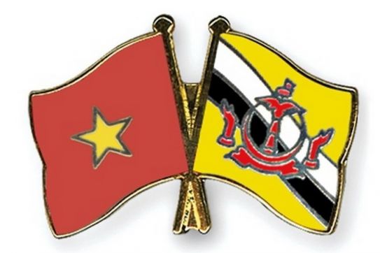 [Infographics] Quan hệ đối tác toàn diện Việt Nam-Brunei