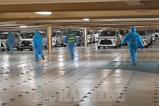 하이퐁 항구: 떤 부 항구에서 795대의 자동차를 성공적으로 하역