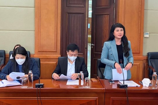 Chuẩn bị tổ chức Lễ hội Hoa phượng đỏ - Hải Phòng năm 2022 đảm bảo thiết thực, an toàn, phù hợp tình hình dịch bệnh