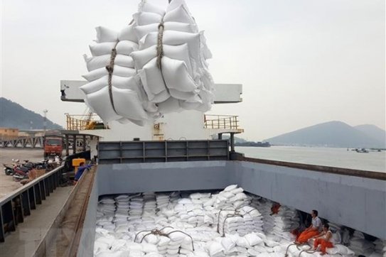 Hơn 55.100 tấn gạo Việt Nam được hưởng thuế suất 5% khi sang Hàn Quốc