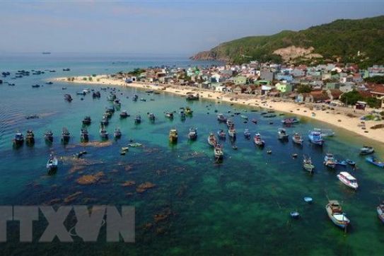 海防市在安全适应新冠肺炎疫情背景下促进旅游业复苏与发展