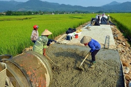 Phê duyệt Chiến lược phát triển nông nghiệp và nông thôn bền vững