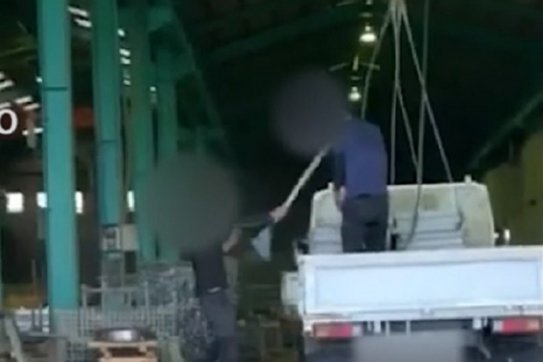 Nhật Bản rút giấy phép của công ty để xảy ra ngược đãi lao động Việt
