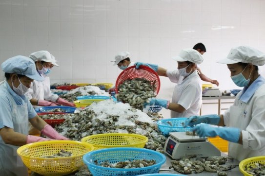 Củng cố năng lực cạnh tranh cho xuất khẩu tôm của Việt Nam