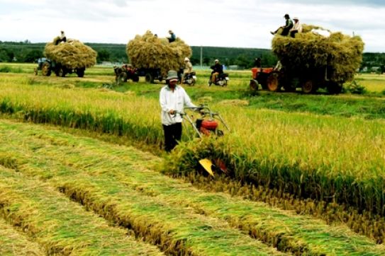 Vietnam strives to become one of the world’s leading agricultural countries by 2050