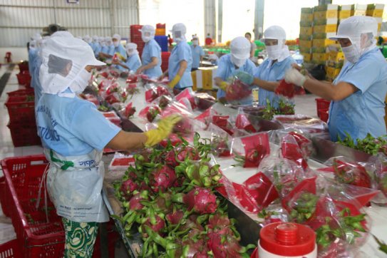 Nông sản Việt “tăng tốc” xuất khẩu sang thị trường Mỹ