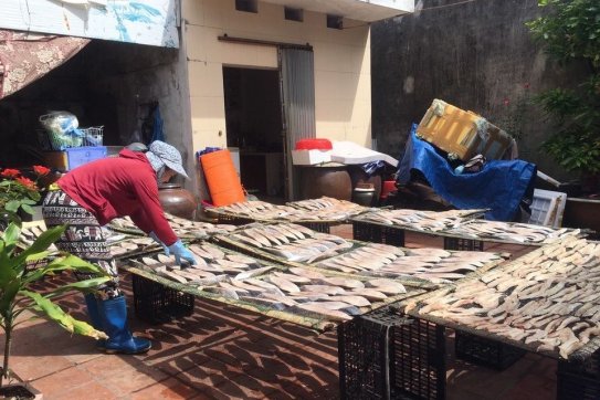 Hội Liên hiệp Phụ nữ thành phố tổ chức Liên hoan trực tuyến mô hình, điển hình làm kinh tế giỏi