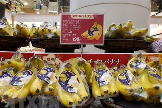 越南参加2022第47届日本国际食品饮料展