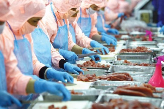 Thu hút đầu tư kiều bào: Nhiều triển vọng