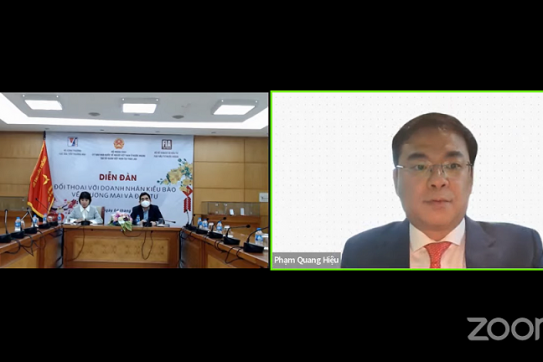 Bàn chuyện xúc tiến đầu tư và thương mại về Việt Nam cho doanh nhân kiều bào