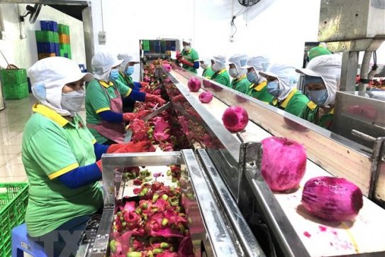 Phòng Thương mại Israel-Việt Nam - thúc đẩy hợp tác kinh tế hai nước