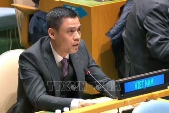 越南强调团结和国际合作就是发展筹资的钥匙