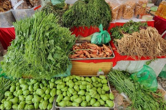 In 2022, at least 50% of agricultural producing households in the city have “digital booth” on e-commerce platform