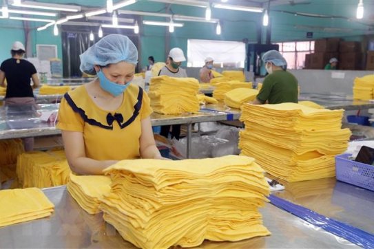 Chuyên gia WB: Việt Nam có thể là nước hưởng lợi nhiều nhất từ RCEP