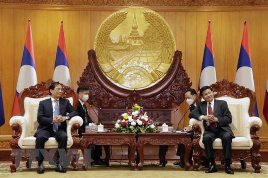 Bộ trưởng Ngoại giao Bùi Thanh Sơn chào xã giao lãnh đạo cấp cao Lào