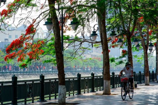 Lễ Hội Hoa Phượng Đỏ - niềm tự hào của người dân Đất Cảng