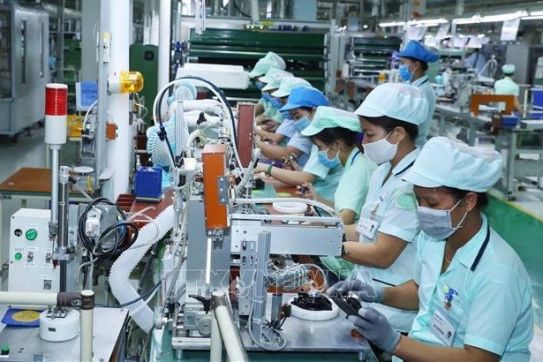 激发企业和年轻科学家的创造力