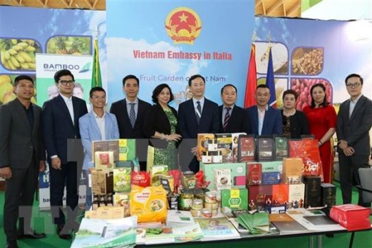 “Fruit garden of Vietnam” on display at Italy’s Macfrut trade fair
