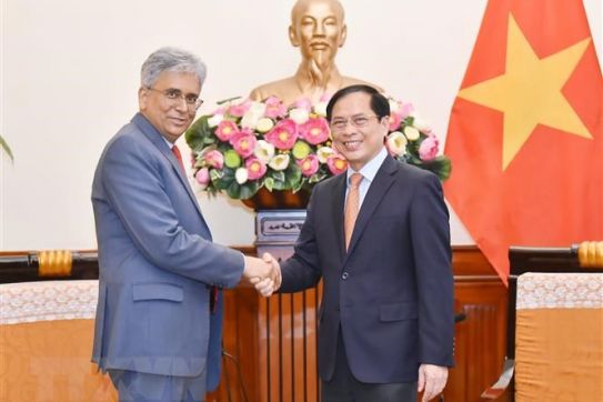 Ấn Độ cam kết phối hợp thúc đẩy hơn nữa quan hệ với Việt Nam