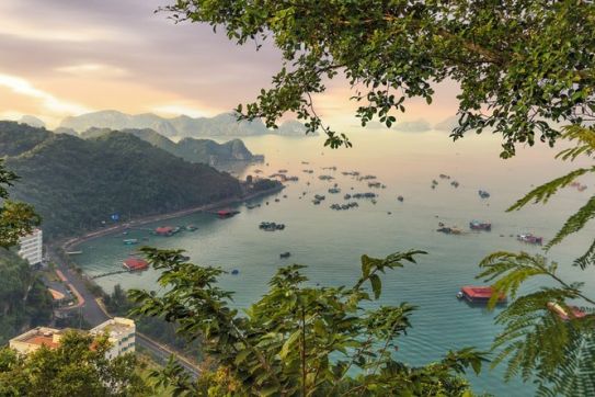Đảo Cát Bà, Việt Nam: Cẩm nang đầy đủ (cập nhật 2022)