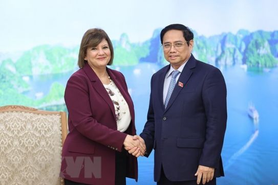 越南政府总理范明政会见埃及驻越南大使和蒙古国驻越南大使