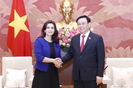 越南国会主席王廷惠分别会见保加利亚和匈牙利驻越南大使