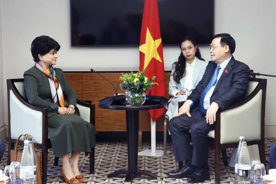 国会主席王廷惠会见英国各集团领导人